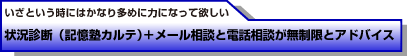 いざという時にはかなり多めに力になって欲しい