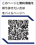�f�B�W�V�X�e�����o�C���y�[�W