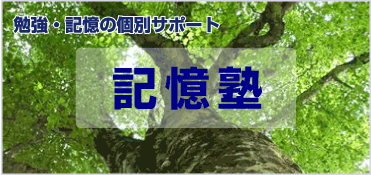 �L���m -�L���p�� �f�B�W�V�X�e��-